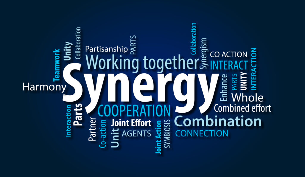 synergy between customer service and experience
